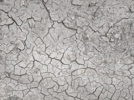 Dry cracked earth background. Close-up of dry soil textureの写真素材