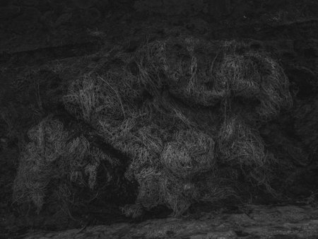 Abstract black and white grunge texture background. Rough noise design.の写真素材