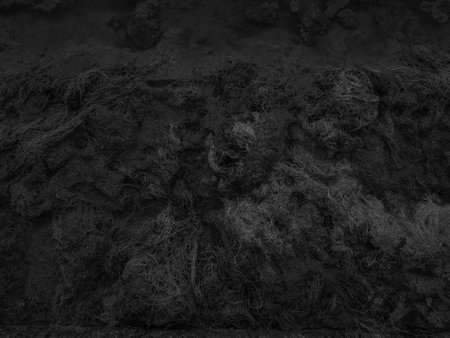 black soil texture background, black soil texture background, black soil backgroundの写真素材