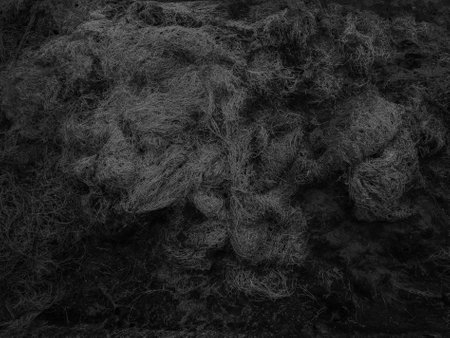 black and white abstract background of a fishing net in the sea.