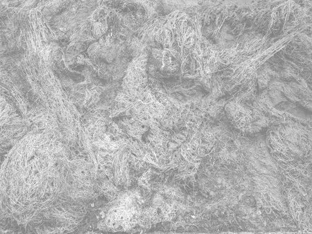 gray abstract background texture for design.Grunge background texture.