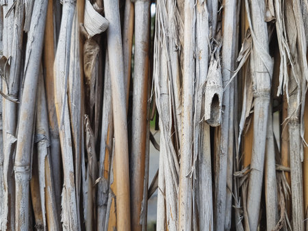 Close up of dry bamboo wall for background or texture, Thailand.