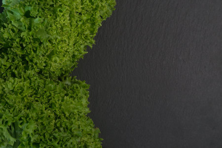Fresh green lettuce on black slate background, top view, copy space