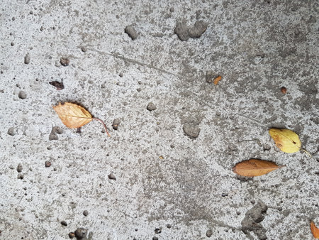 Fallen leaves on concrete floor. Autumn background with copy space.の写真素材