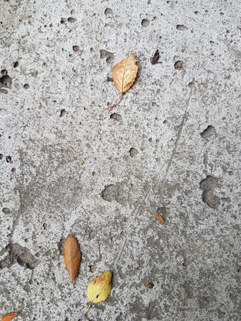 Fallen leaves on the concrete floor. Autumn background. Top view.の写真素材