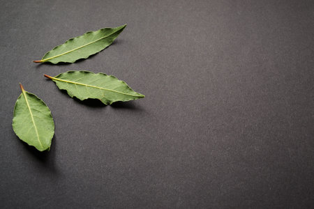 Bay leaves on a black background. Top view. Copy space.