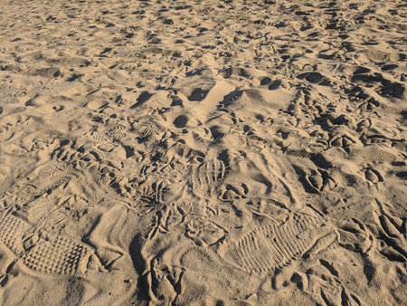 Sand texture. Sand background. Sand texture. Sand background. Sand background