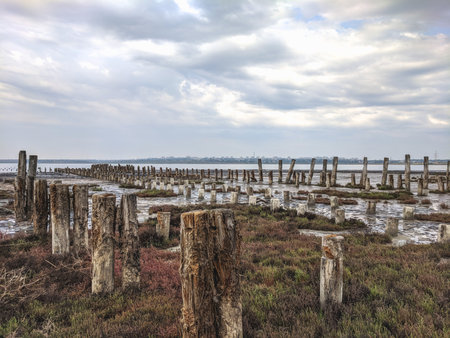 The remains of an old wooden bridge on the shore.