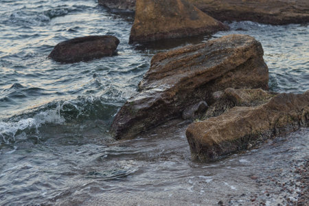 Rocks on the seashore in the early morning light.の写真素材