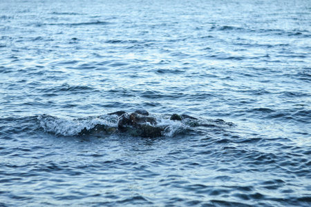 Sea waves on the shore of the Gulf of Finland. Russia.