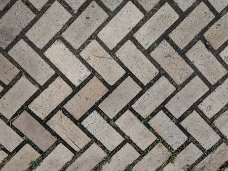 Brick pathway in the park, detail of a cobblestone pavement