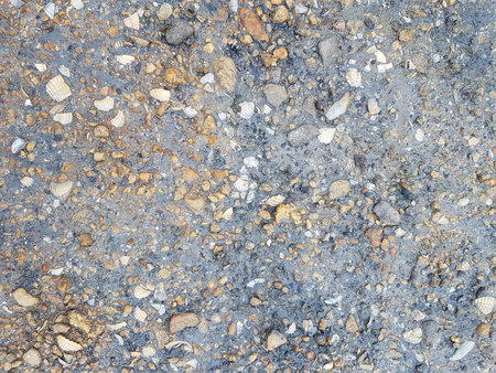 Asphalt texture with small stones and seashells. Abstract background