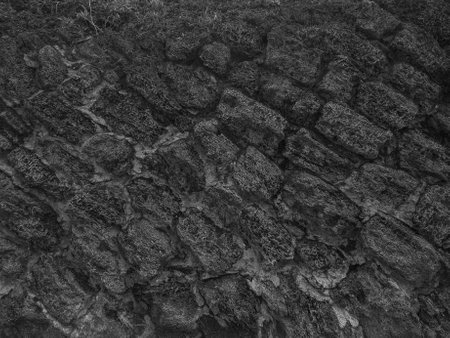 Black stone wall texture background. Black and white stone wall texture.