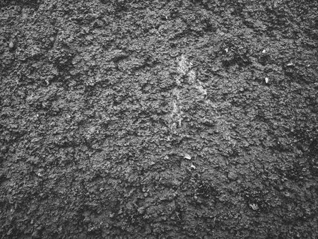 Grunge black and white cement texture. Abstract background and texture for design.の写真素材