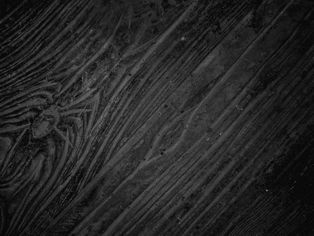 Black wood texture background pattern with high resolution. Black and white.の写真素材