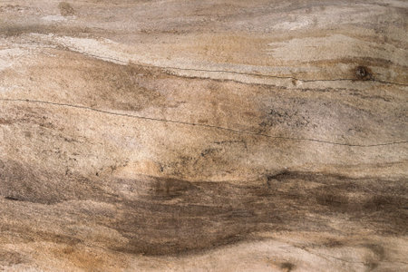 Old wood texture background surface with old natural pattern or use it in design and decorative.
