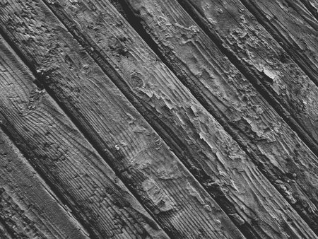 Old wood texture. Abstract background for design. Monochrome.