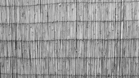 Background texture of a reed matting wall in black and whiteの写真素材