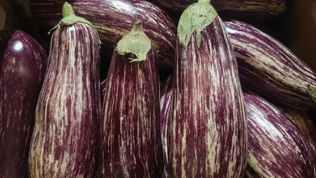 Purple eggplants on the counter of a vegetable store.の写真素材