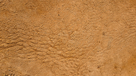 Texture of the sand. Sand background for design. Abstract background for design.
