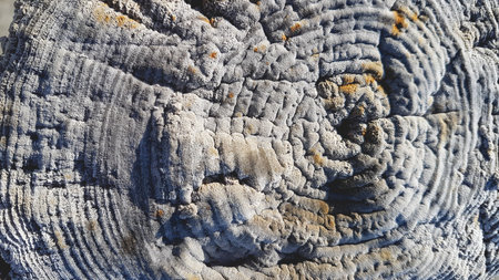 Texture of the surface of the old stone. Close-up.の写真素材