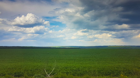 Green field and blue sky with clouds. Nature composition. Panorama.