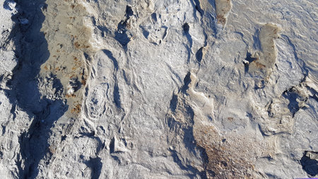 The surface of the rock as a background. Texture, pattern.