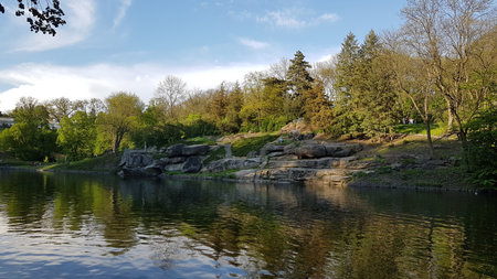 A view of the pond in the park. Spring in the park.の写真素材