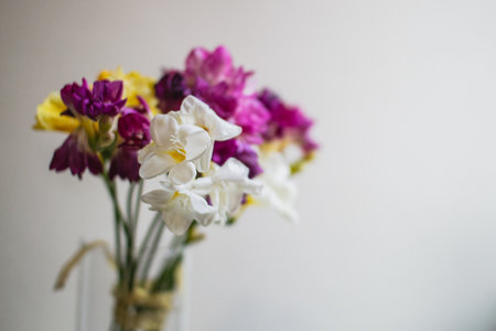 Bouquet of freesia in vase on white background