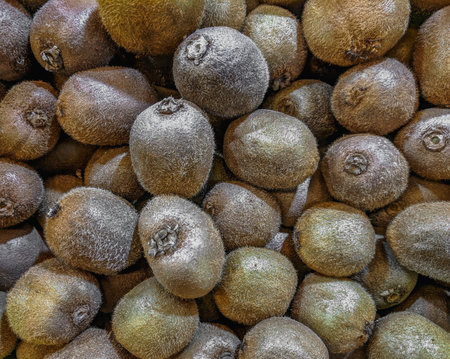 Frozen kiwi fruit on a market stall, close upの写真素材