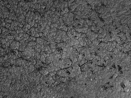 Cracks on the asphalt as an abstract background. Black and white
