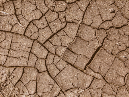 Dry cracked earth background. Global warming and climate change concept.