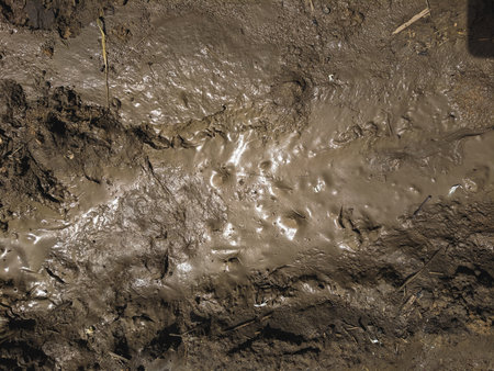 Close up of mud on the ground in the countryside. Natural background.の写真素材