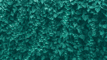 Abstract background of green leaves. 3d rendering, 3d illustration.の写真素材