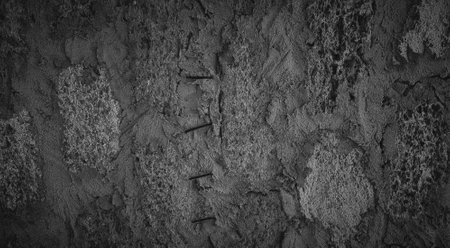 Black and white abstract grunge background. Texture of cement wall.の写真素材