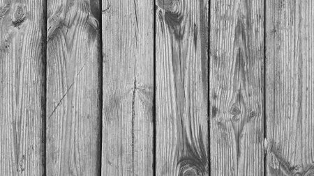 Old wood texture. Abstract background for design. Monochrome.の写真素材