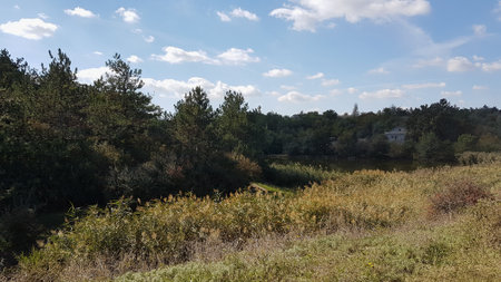 Landscape of the river and forest on a sunny day in autumnの写真素材