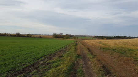 Rural landscape with a dirt road in the middle of the fieldの写真素材