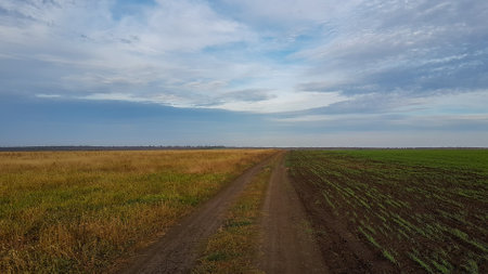 Dirt road through the field in autumn. Landscape with a dirt roadの写真素材