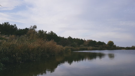Landscape of a lake with trees in the background and blue skyの写真素材