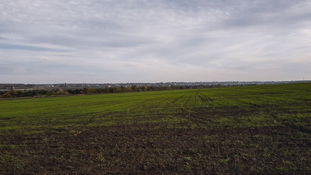 view of a field of green wheat in the countryside under a cloudy skyの写真素材