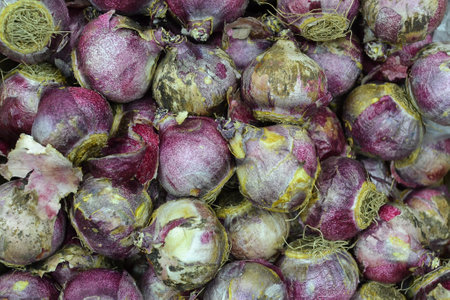 Close up of red onions for sale at a market in India.の写真素材