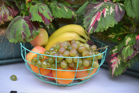 Grapes and oranges in a basket on a table in the garden
