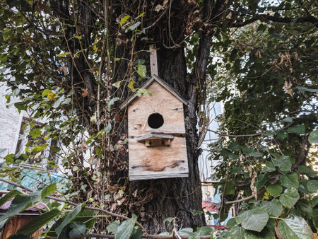 Wooden birdhouse on a tree in the center of the city