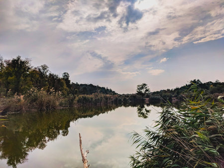 River in the forest with clouds and sky reflected in the water.