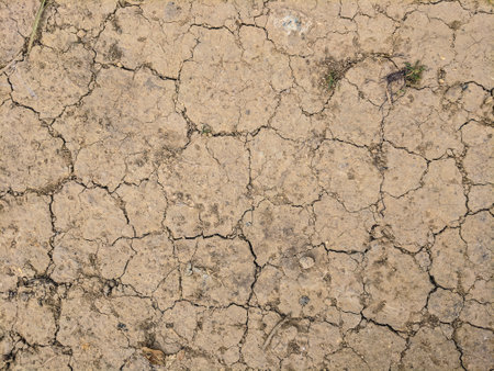 Dry cracked earth background. Global warming, climate change concept.