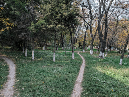 Autumn in the city park. A path through the autumn forest.