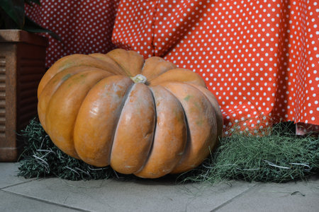 pumpkin on the table with red cloth and green grass.の写真素材