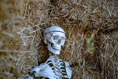 Skeleton in the hayloft. Halloween decoration. Selective focus.の写真素材