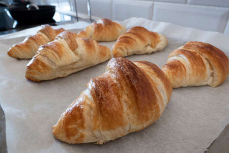 Croissant baked fresh on board with baking paper for homemade breakfastの写真素材
